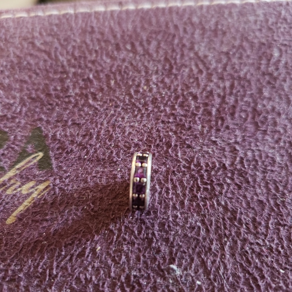 Purple Pandora Eternity Spacer